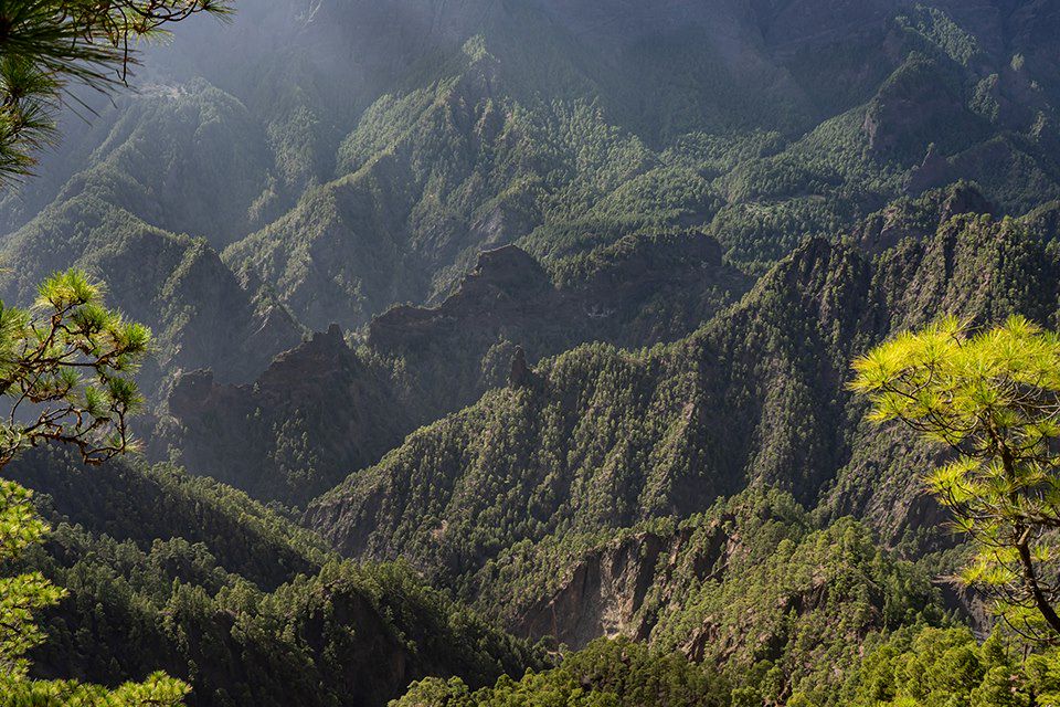 Image Randonnée La Palma – Randonnée Canaries – Séjour La Palma