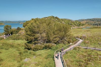 Parc Natural de s'Albufera des Grau - Minorque - Iles Baléares - Espagne