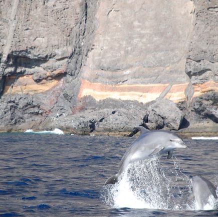Randonnée Espagne Canaries