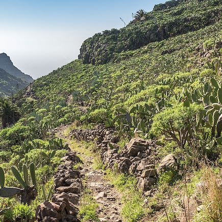 Randonnée Espagne Canaries