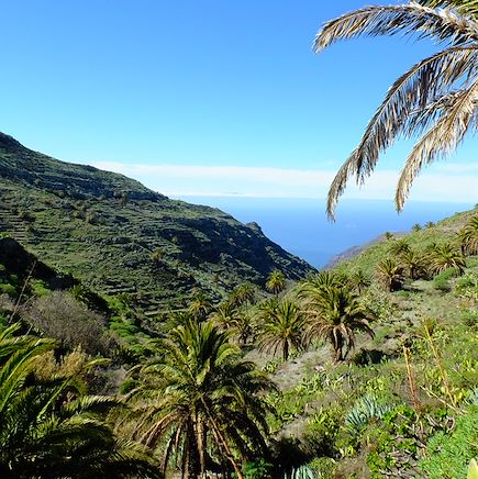 Randonnée Espagne Canaries