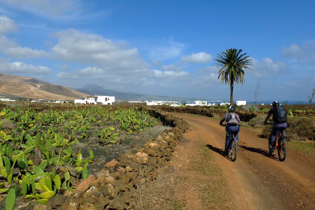 Voyage en véhicule : Lanzarote, terre de volcans à vélo