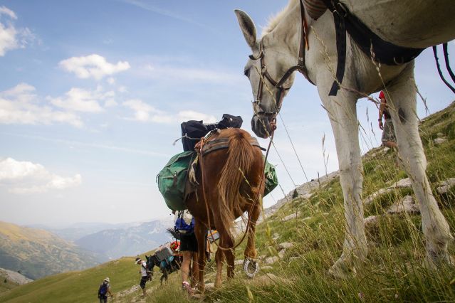 Balade avec des mules - Massif du Cotiella - Espagne
