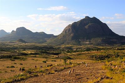 Route vers le Simien - Ethiopie