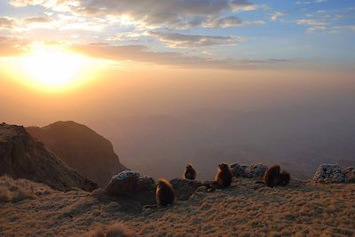 Coucher de soleil depuis le sommet Kedadit - Parc national du Simien - Ethiopie