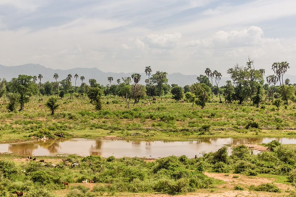 Image Voyage Ethiopie - Randonnée Ethiopie - Vallée du Rift