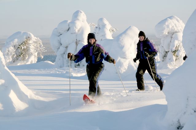 Image Laponie : au cœur de l'hiver