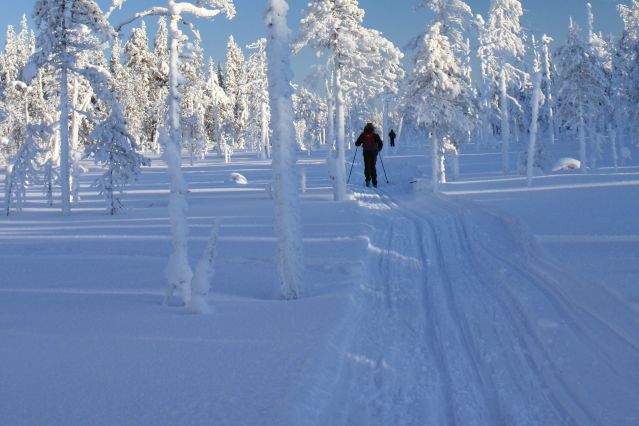 Voyage ski de fond / ski nordique - Ski de fond au cœur de la forêt boréale