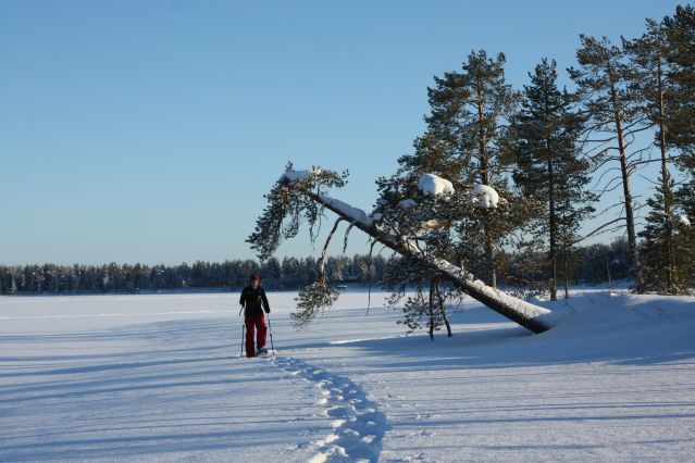Voyage Raquette à travers la taïga finlandaise
