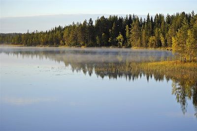 Aurores boréales Laponie finlandaise