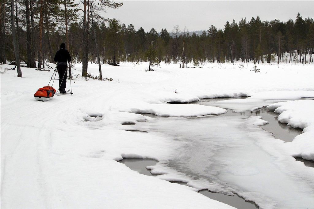 Voyage Raid chien de traineau et ski pulka en Finlande 3