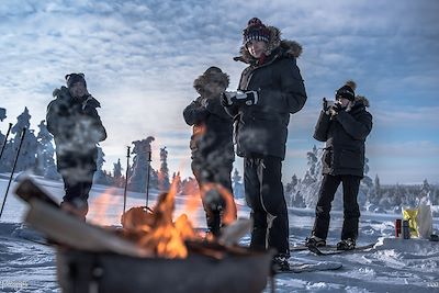 Voyage Raid chien de traineau et ski pulka en Finlande 1