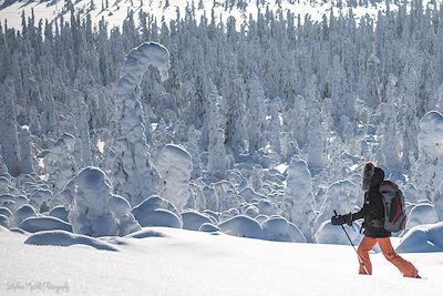 Ski de fond et ski nordique Finlande