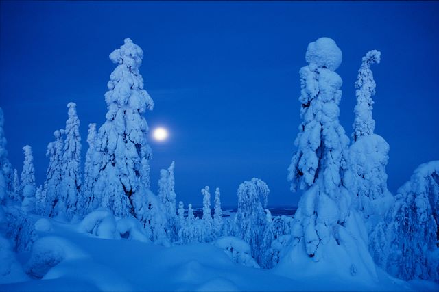 Voyage : Réveillon au cœur des montagnes de Kiilopää Voyage Réveillon au cœur des montagnes de Kiilopää