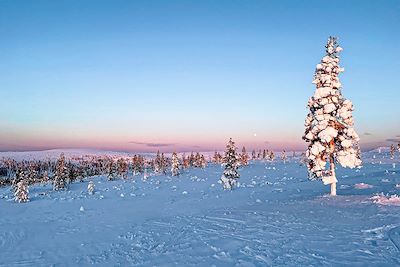 Tunturi de Kiilopää - Laponie - Finlande