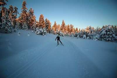 Ski de fond - Laponie - Finlande