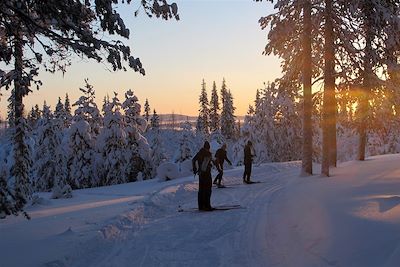 Ski de fond - Laponie - Finlande