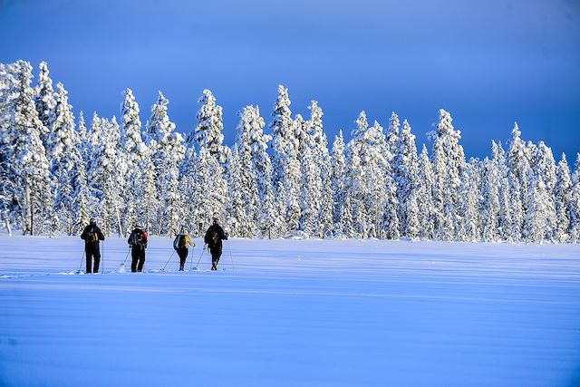 Voyage Ski de fond en Laponie