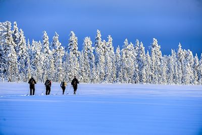 © Lars Malmström - Ski nordique - Finlande Ski nordique - Finlande