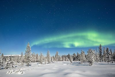 Aurores boréales - Parc national Pallas-Yllaestunturi - Muonio - Laponie - Finlande