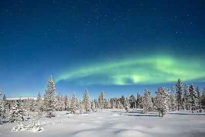 Ski de fond et ski nordique Laponie finlandaise