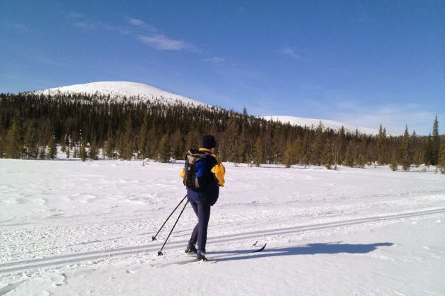 Image Raid en ski de fond en Laponie