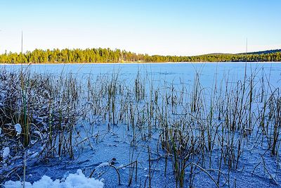 © Edwige Carron - Lac - Laponie - Finlande Lac - Laponie - Finlande