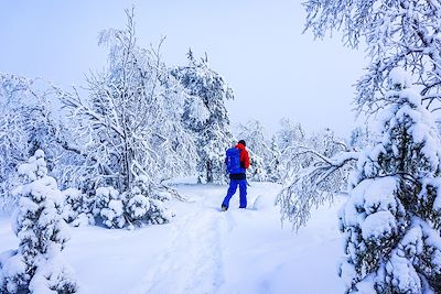 Parc Urho Kaleva Kekkonen - Laponie - Finlande 