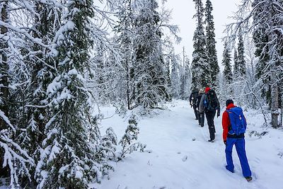 © Edwige Carron - Parc Urho Kaleva Kekkonen - Laponie - Finlande Parc Urho Kaleva Kekkonen - Laponie - Finlande