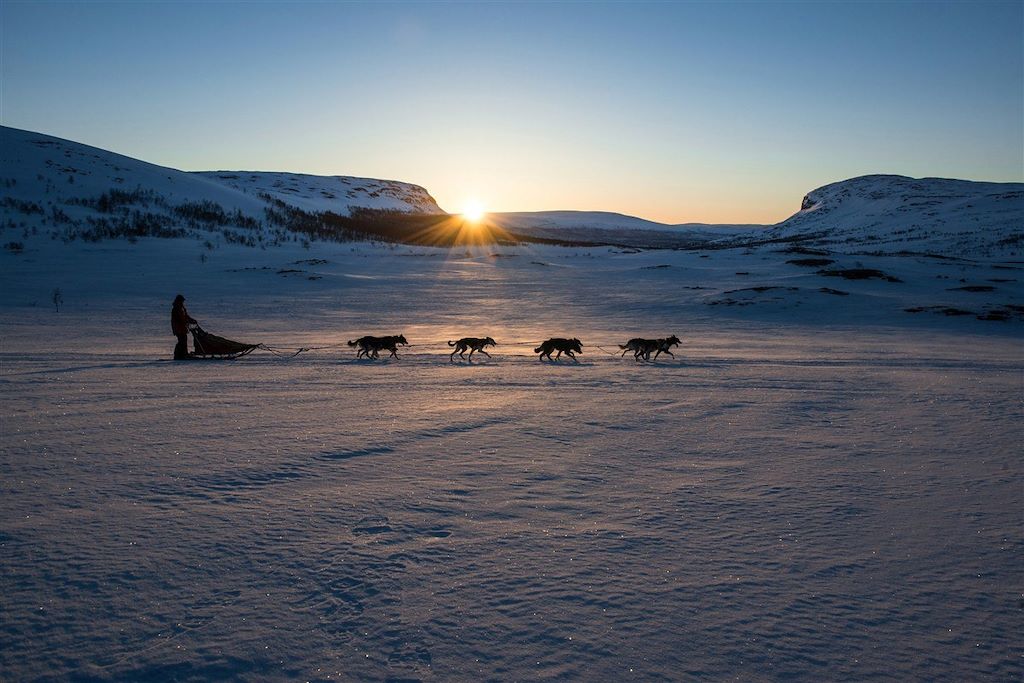 Traîneaux à chiens et aurores boréales