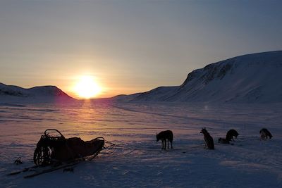 Traîneaux à chiens et aurores boréales - Finlande