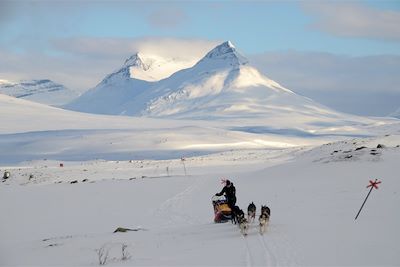 Traîneaux à chiens et aurores boréales - Finlande