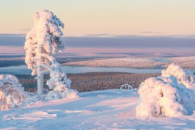 Laponie finlandaise - Finlande