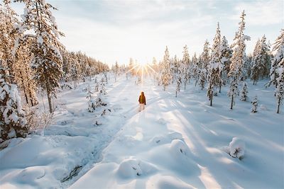 Aventures en famille sous les aurores de Laponie