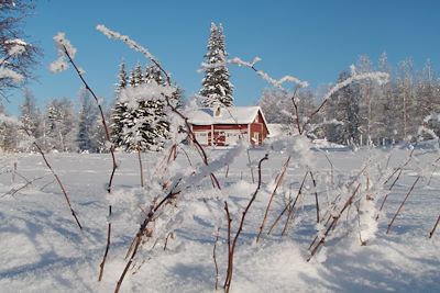 Voyage Raquette à travers la taïga finlandaise 2