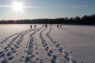 Raquette à travers la taïga finlandaise