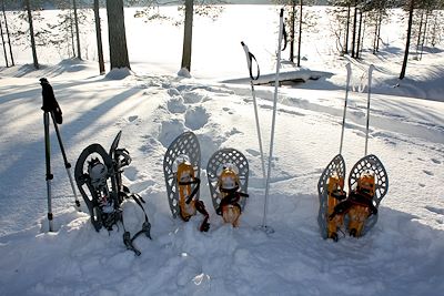 Près de Hossa, à la frontière russe - Région de Kainuu - Finlande