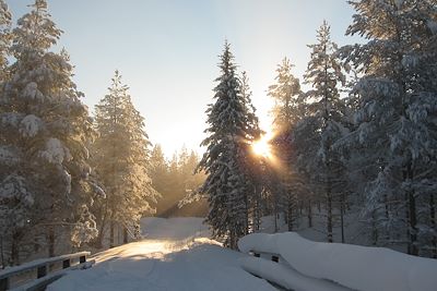 Près de Hossa, à la frontière russe - Région de Kainuu - Finlande