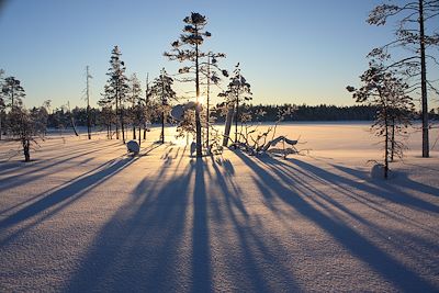 Près de Hossa, à la frontière russe - Région de Kainuu - Finlande