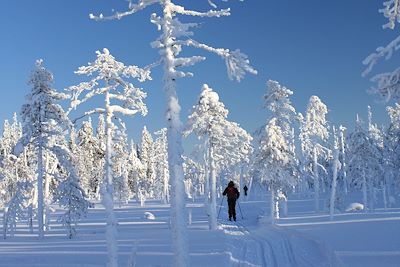 Voyage Ski de fond au cœur de la forêt boréale 2