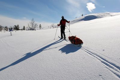 Parc national Urho Kekkonen - Laponie finlandaise - Finlande