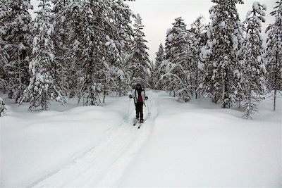 Randonnée à ski - Laponie - Finlande