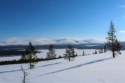 Vue sur Sokosti - Laponie - Finlande
