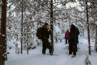 Randonnée en raquettes - Laponie - Finlande