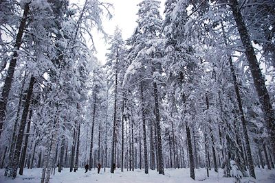 Paljakka - Finlande