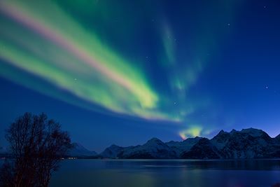 Lyngen Lodge - Olderdalen - Norvège