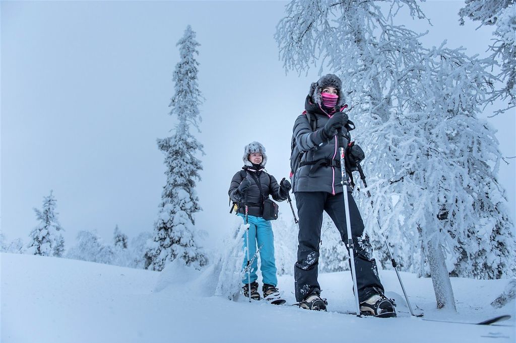 Image Voyage en Laponie - Lac Inari - Chien de traîneau, raquettes, ski
