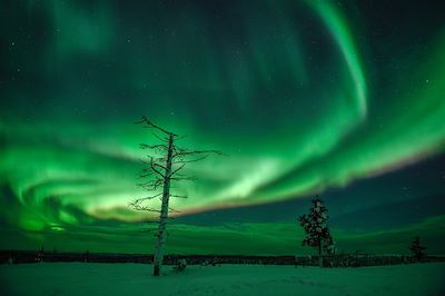Aurores boréales - Laponie - Finlande
