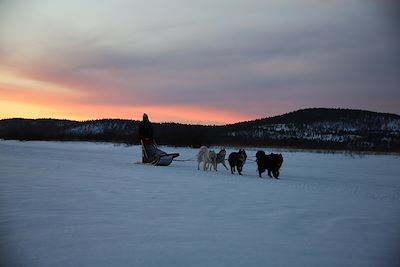 Traîneau à chiens - Autour du lac Inari - Finlande