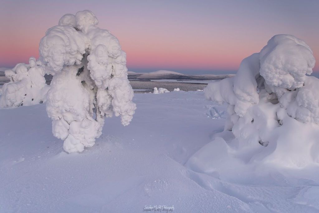 Image Voyage en Laponie - Lac Inari - Chien de traîneau, raquettes, ski